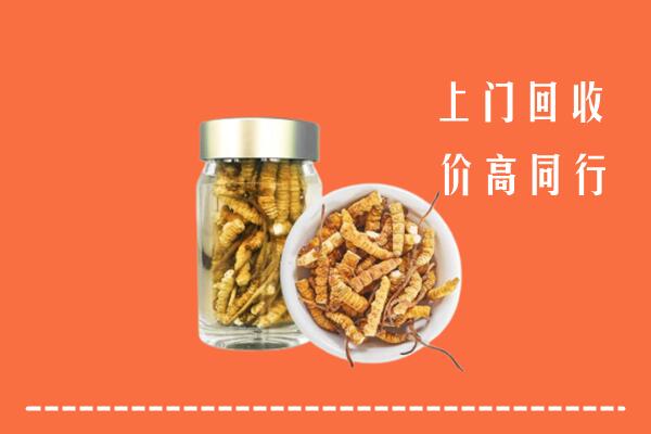 遂宁回收冬虫夏草