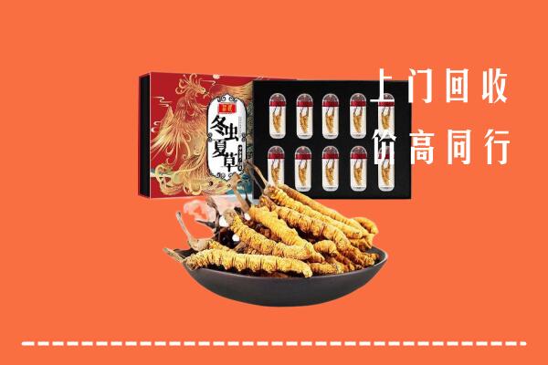遂宁回收虫草